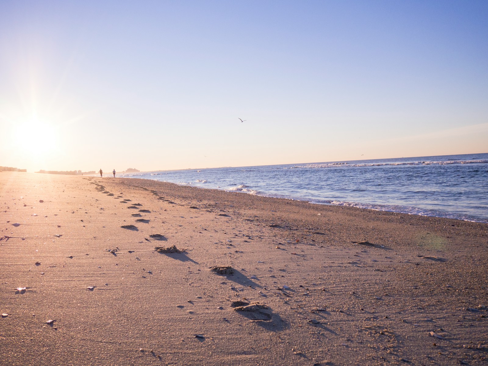 two person walking on brown sands