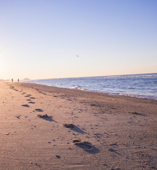 two person walking on brown sands